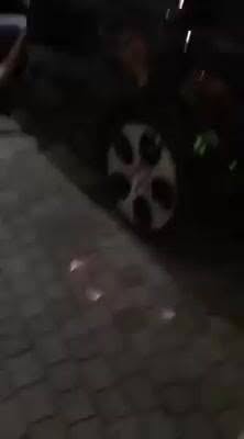 Va bene????
