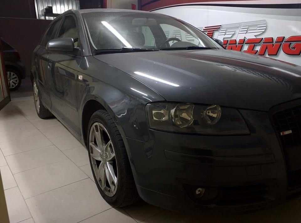 Audi A3 1.9 TDI 105 CV eliminazione EGR mappatura Manfredonia