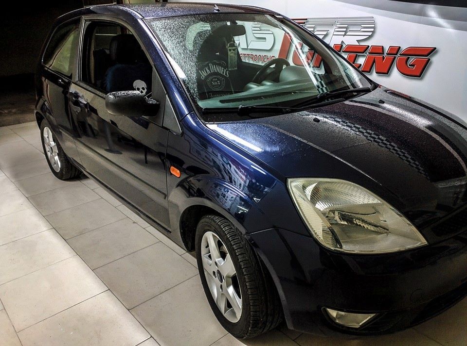 Ford Fiesta 1.4 TDCi 68 CV – Eliminazione EGR – Mappatura performante Foggia