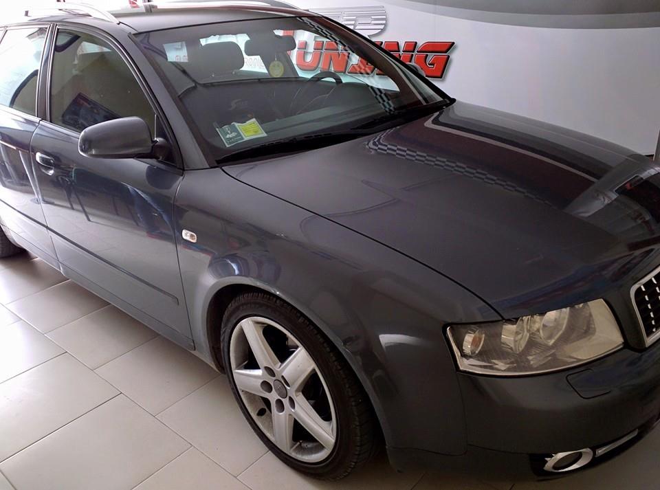Audi A4 1.9 TDI 130 CV eliminazione EGR mappatura Foggia