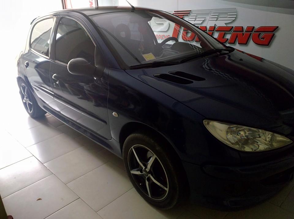 Peugeot 206 1.4 HDI 68 CV EGR mappatura Manfredonia