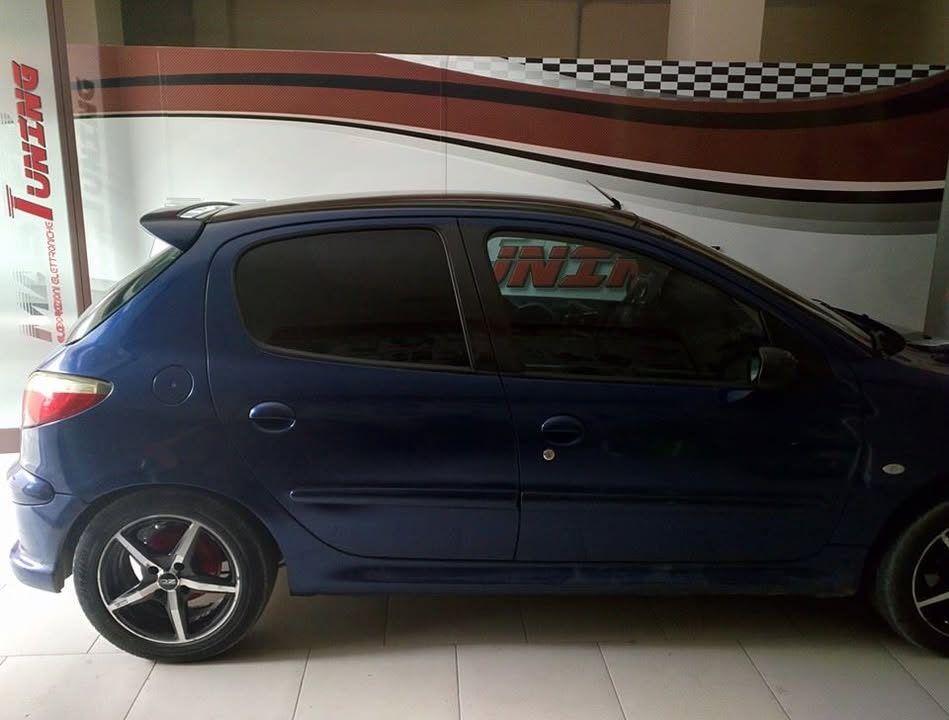 Peugeot 206 1.4 HDi 68 cv Egr Mappatura Manfredonia - foto 2